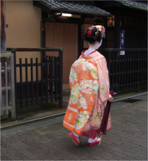 京都水族館までのアクセスは何が便利？バスでの行き方や混雑状況など