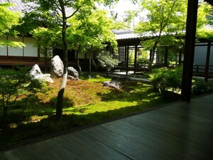 京都で座禅体験ができるお寺BEST6！宿泊も人気！癒しや気分転換に！