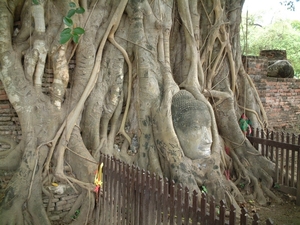 タイの世界遺産を観光！美しい遺跡や壮大な自然など見どころまとめ！