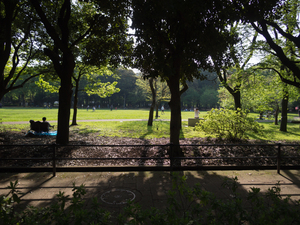 東京で人気の公園を紹介！のんびりデートも子供とのおでかけにもおすすめ！