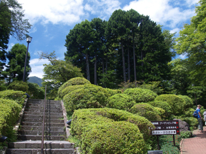 平塚の観光スポットと見どころ11選！デートやドライブにもおすすめ！