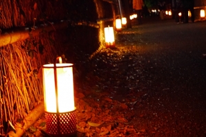 京都・嵐山花灯路の魅力！夜の嵯峨野に幻想的なかがやき・日程やルートも！