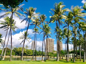 ニーマンマーカスでハワイのお土産を買おう！おすすめの限定品は何？