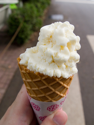 アイスクリームの博覧会！大阪や札幌などの開催場所や人気商品をご紹介
