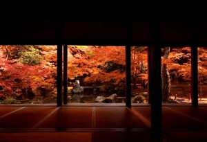 京都・蓮華寺は穴場の観光スポット！見どころは紅葉や新緑の庭！
