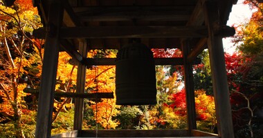今熊野観音寺の見どころを紹介！頭痛やボケ封じにご利益がある枕カバーとは？
