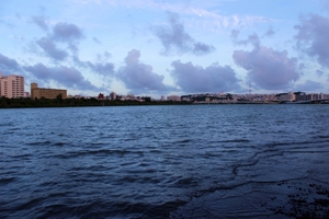 沖縄の漫湖とは？公園や湿地センターなど見どころ満載！生態系も豊か！