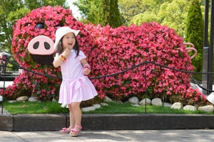 埼玉のサイボクハムは豚のテーマパーク！見学やバーベキューなど1日遊べる！