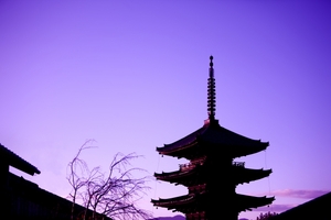 京都で観光タクシーのおすすめは？モデルコースや料金・プランを紹介！