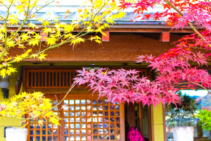 六波羅密寺は京都のパワースポット！有名な国宝や評判のおみくじとは？