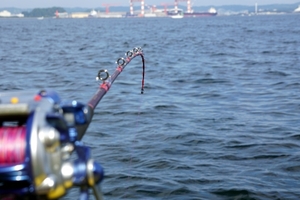 東京湾の釣りスポットはココがおすすめ！初心者でも楽しめるポイント情報まとめ！