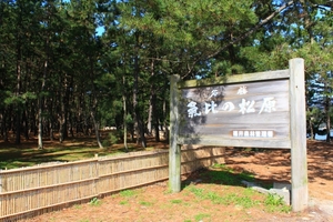 気比の松原は日本三大松原の一つ！釣りや海水浴も楽しめる名勝地をご紹介！