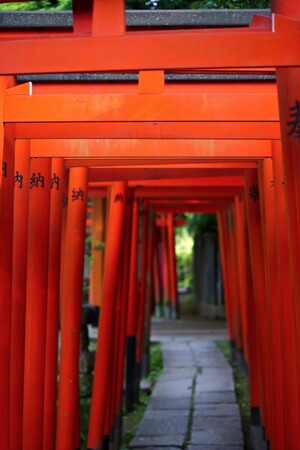 鳩森八幡神社は２種類の御朱印あり！パワースポットと名高い神社の富士塚も紹介！