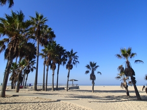 カリフォルニアの海で遊ぼう！人気ビーチやサーフィンの名所を紹介！