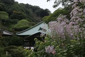 海蔵寺は鎌倉の花寺として人気！御朱印やアクセスなどまとめてご紹介！