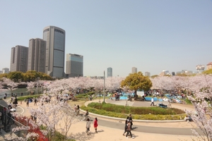 大阪の公園は遊べる所が沢山！楽しい遊具やデートにも楽しめる！駐車場情報も！