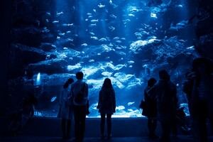 サケのふるさと千歳水族館は淡水魚展示で有名！入場料・時間や見どころまとめ！