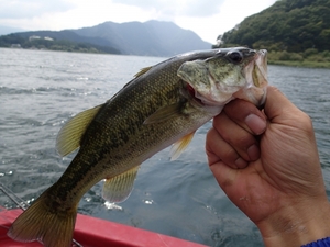 芦ノ湖釣りポイントのおすすめ！定番のバス釣りやボートなど楽しみ方紹介！