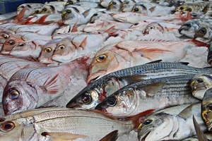 新潟の寺泊観光なら「寺泊魚市場」で決まり！美味しい料理が食べられる店もあり！