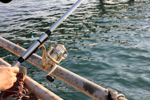 兵庫突堤でタチウオ釣り！おすすめのポイントや釣果情報もご紹介！