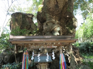 熱海の神社のパワースポットを紹介！来宮神社をはじめ人気の場所を一挙ご紹介！