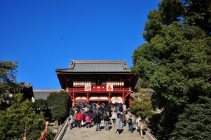 「鶴岡八幡宮」は鎌倉観光の必訪スポット！見どころや歴史を紹介！