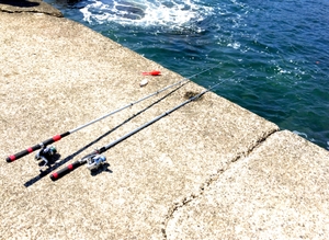 東扇島で釣りのススメ！駐車場有り・餌の自販機完備も人気のポイント！