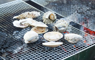 千葉で海鮮丼が人気のおすすめ店は？人気のランチや食べ放題情報も紹介！
