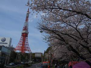 東京タワーの展望台がリニューアル！新料金やおすすめの見どころを紹介！