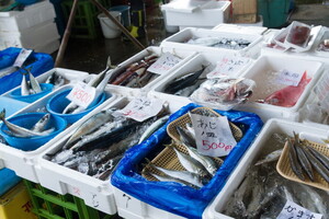 稲取「港の朝市」のおすすめはこれ！人気のグルメや開催日時は？
