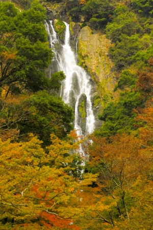 神庭の滝は中国地方で有名な名瀑！観光の見所やアクセスを詳しくチェック！