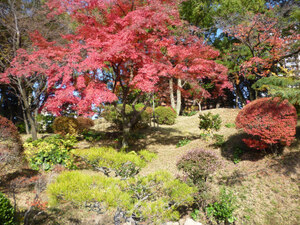 広島「縮景園」は紅葉や夜桜のライトアップが幻想的！駐車場やアクセスは？