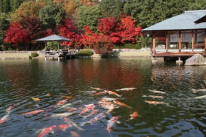 三景園は広島空港そばの日本庭園！紫陽花や紅葉の見頃時期が観光におすすめ！