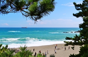 桂浜観光の人気スポット＆ランチを厳選！海水浴場や温泉など楽しみ方多数！