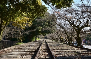蹴上インクラインは世界最長の傾斜鉄道跡地！桜・紅葉の見頃やアクセスは？