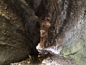 高知の伊尾木洞は神秘的なパワースポット！行き方や観光の見所を調査！