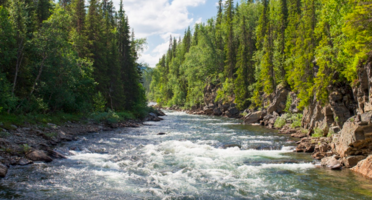 世界一長い川ランキングTOP10！最長の川はどこの国にある？