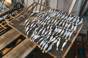 札幌グルメのおすすめスポット49選！海鮮やジンギスカンなど北海道の味を満喫