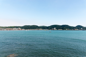 イルカと泳ぐスポットを一挙紹介！和歌山・伊豆・沖縄など人気の場所は？