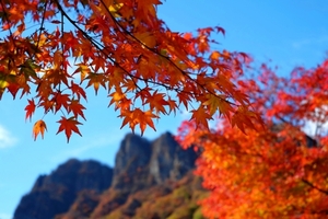 妙義山の登山ルートや紅葉シーズンまとめ！群馬の名山の見どころを詳しく紹介！
