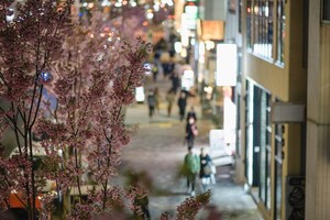 六角橋商店街で昭和レトロな風情を満喫！ヤミ市場や食べ歩きも人気！