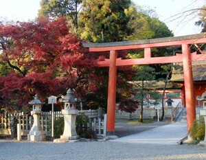 静岡浅間神社の観光ポイントやアクセスまとめ！御朱印やお守りもチェック！