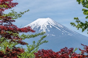 富士山世界遺産センターで山梨の博物館！人気のお土産・入場料金・アクセスは？