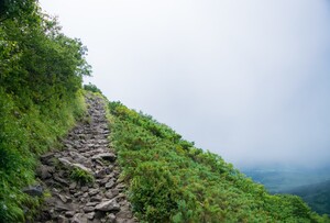 二子山の登山は岩場が多くてスリル満点！コースやアクセス方法もご紹介！