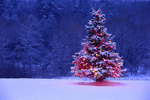 ダイソーのクリスマスグッズが優秀だと話題に！ツリーや飾りつけも充実！