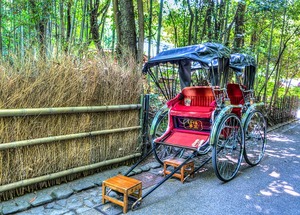 京都の人力車で値段が安いおすすめは？観光客に人気のルートや楽しみ方も紹介