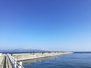 貝塚人工島は大阪の人気釣りスポット！おすすめの仕掛けや穴釣りのコツを伝授！ 