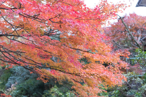 那須の紅葉の見頃の時期やおすすめスポットをチェック！素敵な景色を堪能しよう