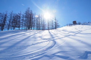 福井のスキー場全スポットを調査！子供が大満足・ナイター営業の施設も！