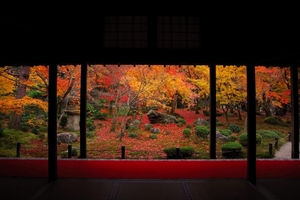 圓光寺は紅葉が綺麗過ぎる京都の観光スポット！アクセス方法・拝観料は？
